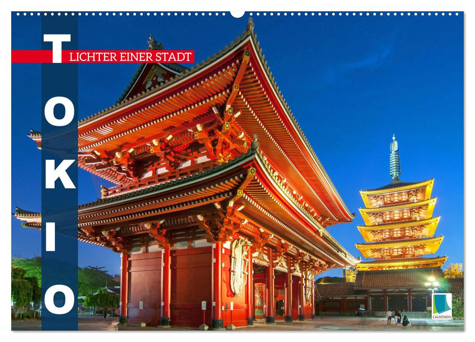 Tokio: Lichter einer Stadt (CALVENDO Wandkalender 2025)