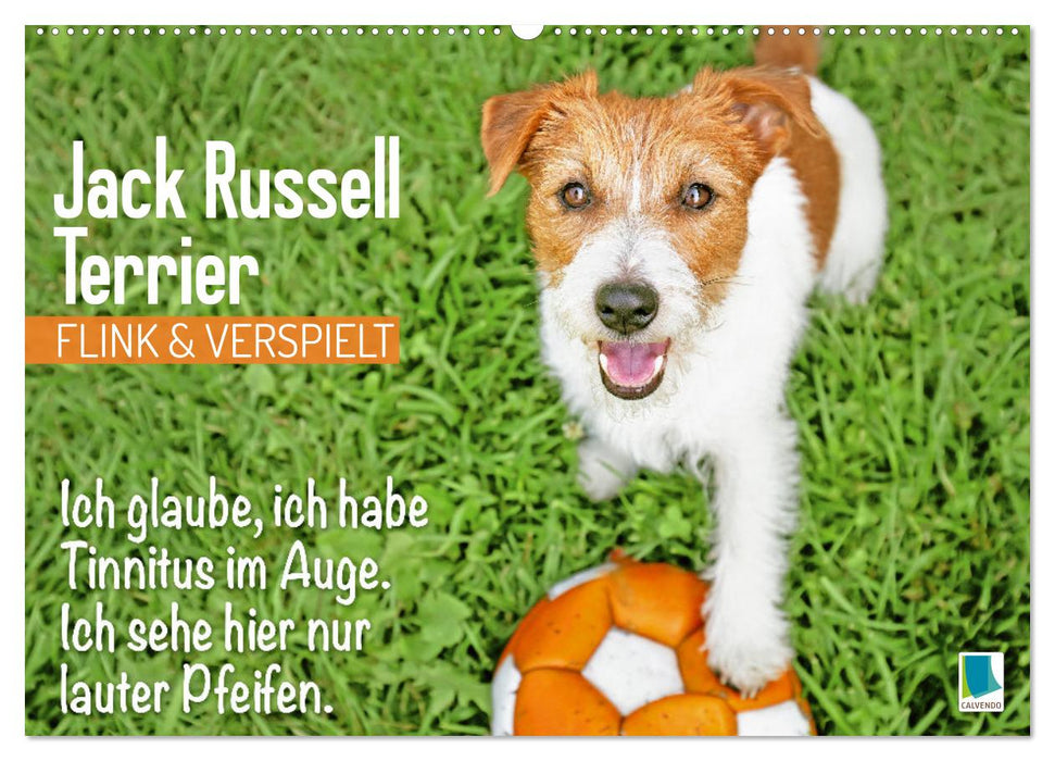 Jack Russell Terrier: flink und verspielt (CALVENDO Wandkalender 2025)