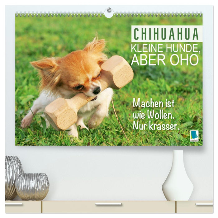 Chihuahua: Kleine Hunde, aber oho (CALVENDO Premium Wandkalender 2025)