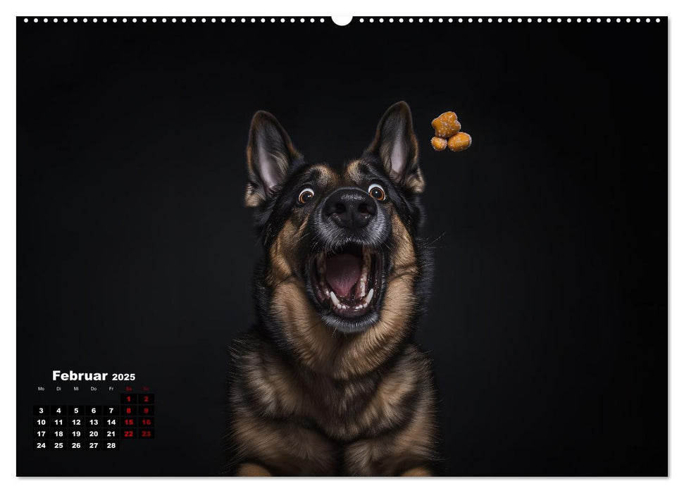 Leckerchen! (CALVENDO Premium Wandkalender 2025)