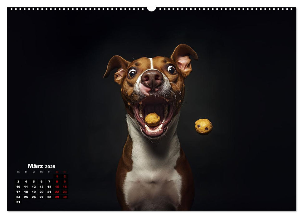 Leckerchen! (CALVENDO Premium Wandkalender 2025)