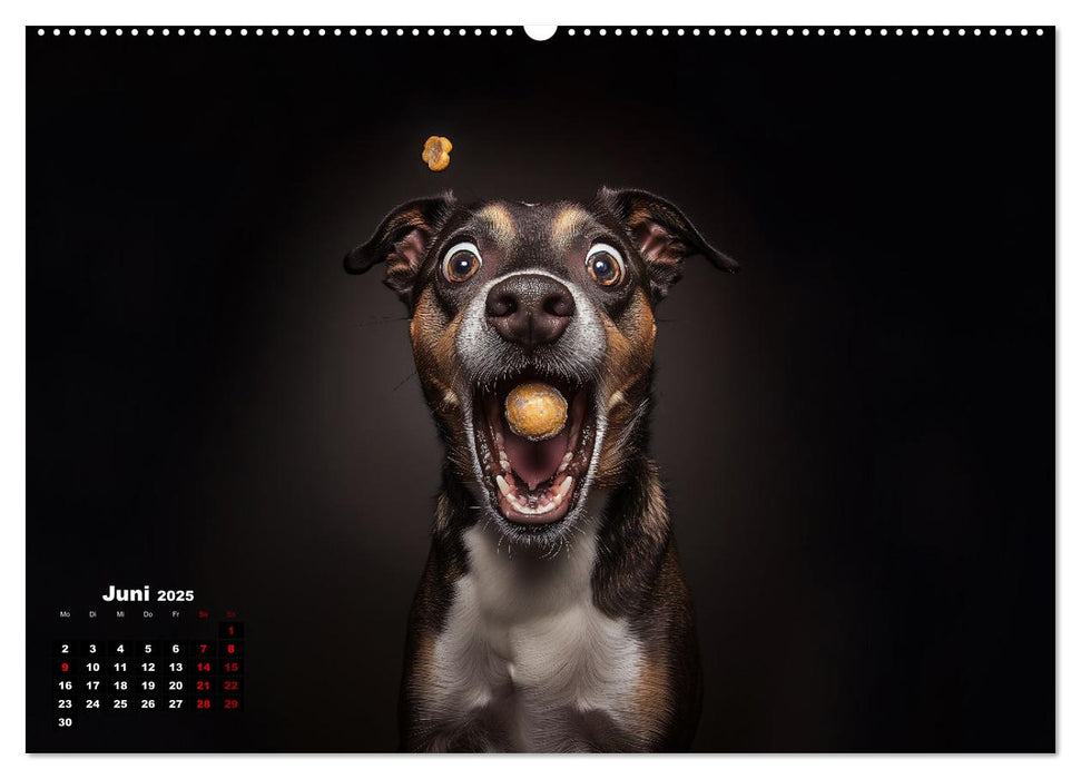 Leckerchen! (CALVENDO Premium Wandkalender 2025)