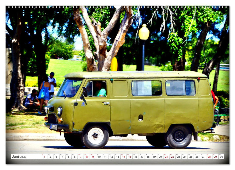 60 Jahre Buchanka - Der Kult-Transporter der UdSSR UAZ-452 (CALVENDO Premium Wandkalender 2025)