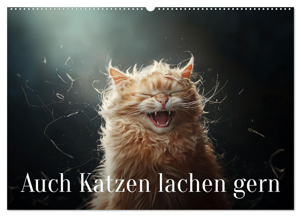 Auch Katzen lachen gern (CALVENDO Wandkalender 2025)