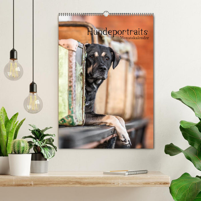 Hundeportraits - Monatskalender (CALVENDO Wandkalender 2025)