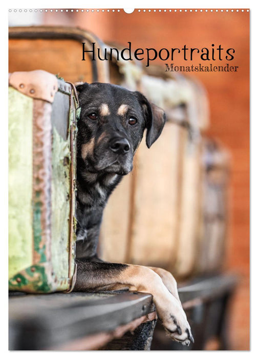 Hundeportraits - Monatskalender (CALVENDO Wandkalender 2025)