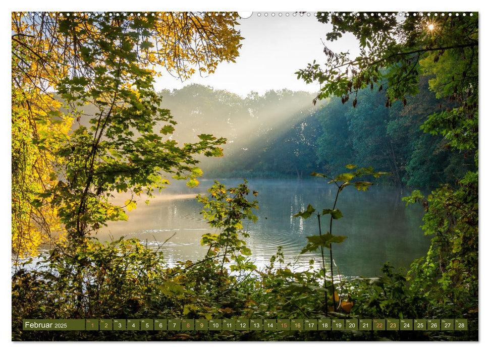 Herbst im Dieskauer Park (CALVENDO Premium Wandkalender 2025)