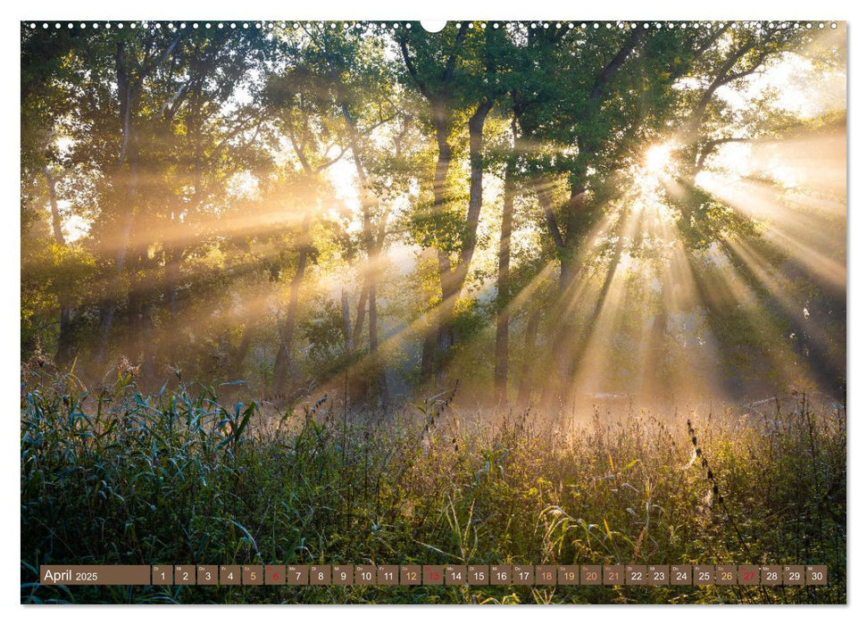 Herbst im Dieskauer Park (CALVENDO Premium Wandkalender 2025)