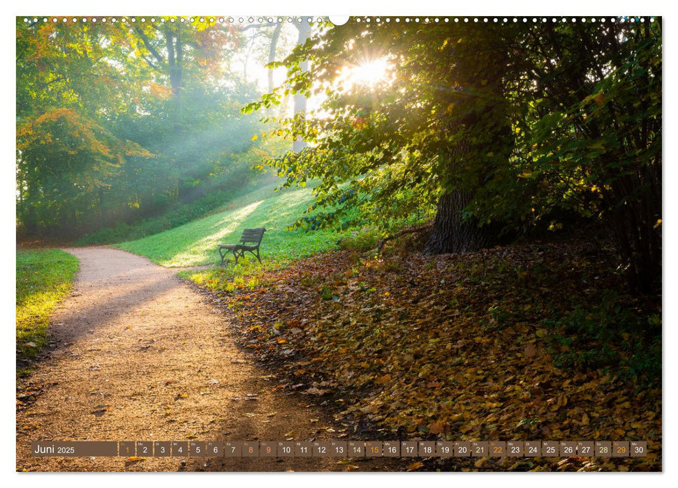 Herbst im Dieskauer Park (CALVENDO Premium Wandkalender 2025)