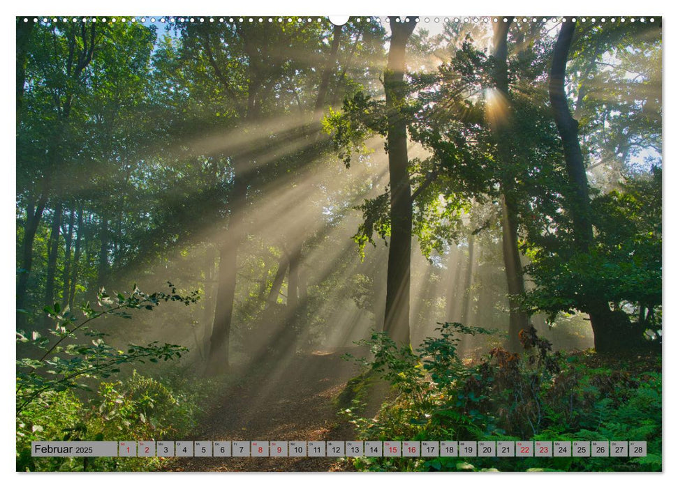 Streifzug durch Ostwestfalen (CALVENDO Wandkalender 2025)