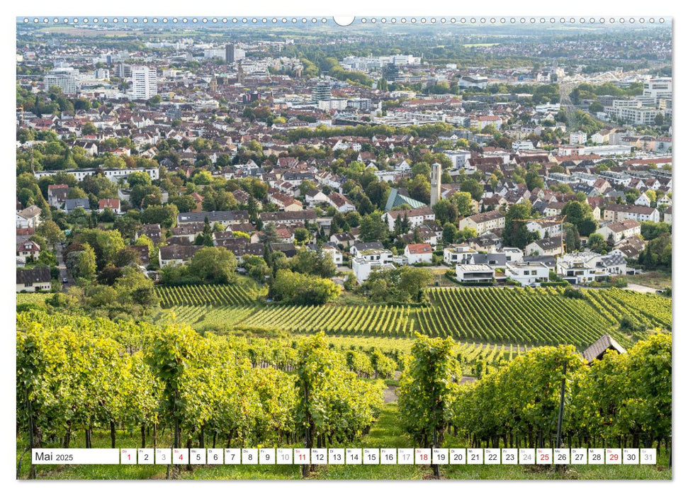 Baden-Württemberg - Heilbronn (CALVENDO Wandkalender 2025)