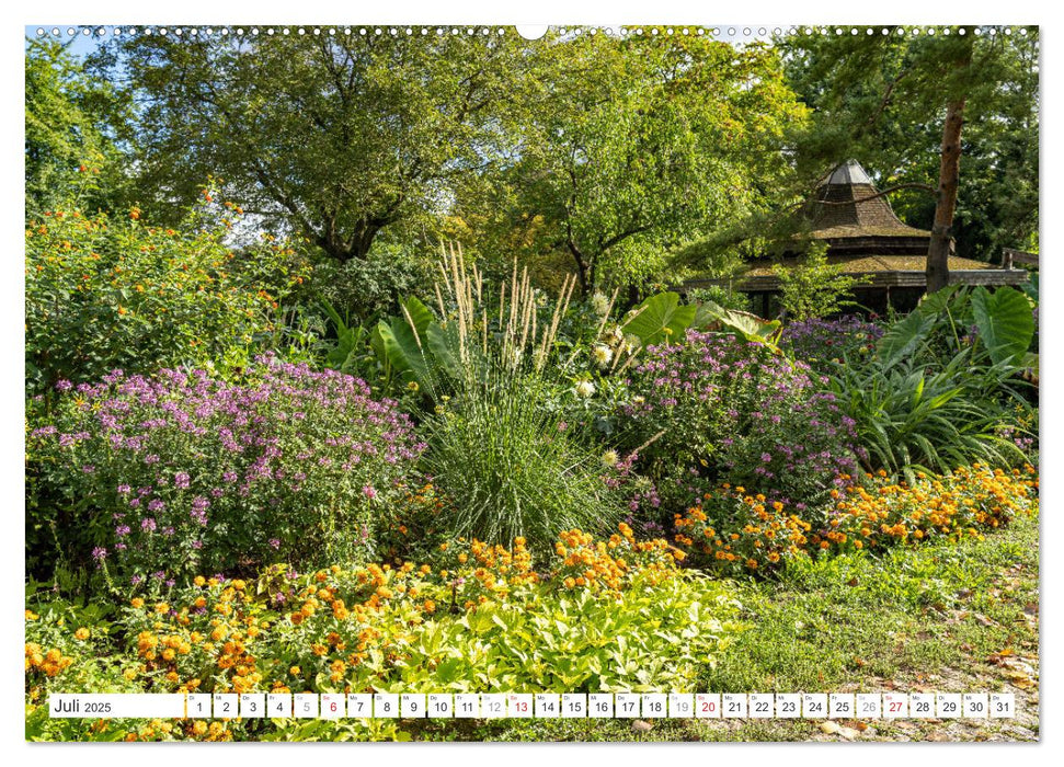 Baden-Württemberg - Heilbronn (CALVENDO Premium Wandkalender 2025)