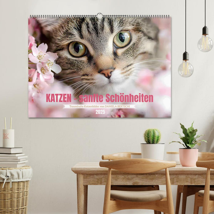 Katzen - sanfte Schönheiten (CALVENDO Wandkalender 2025)