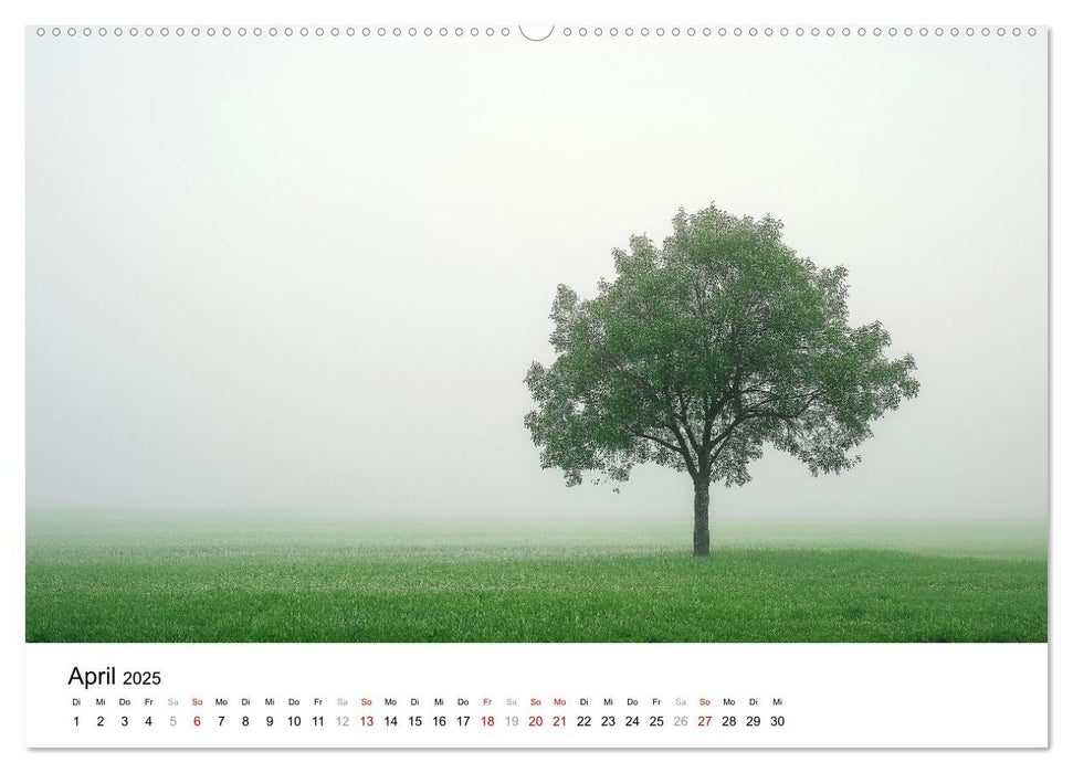 Minimalistische Naturmomente – Ruhe und Schönheit in der Natur (CALVENDO Wandkalender 2025)