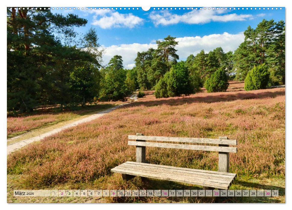 Lüneburger Südheide (CALVENDO Wandkalender 2025)