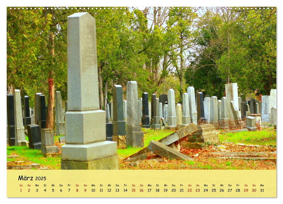 Am Zentralfriedhof in Wien (CALVENDO Wandkalender 2025)