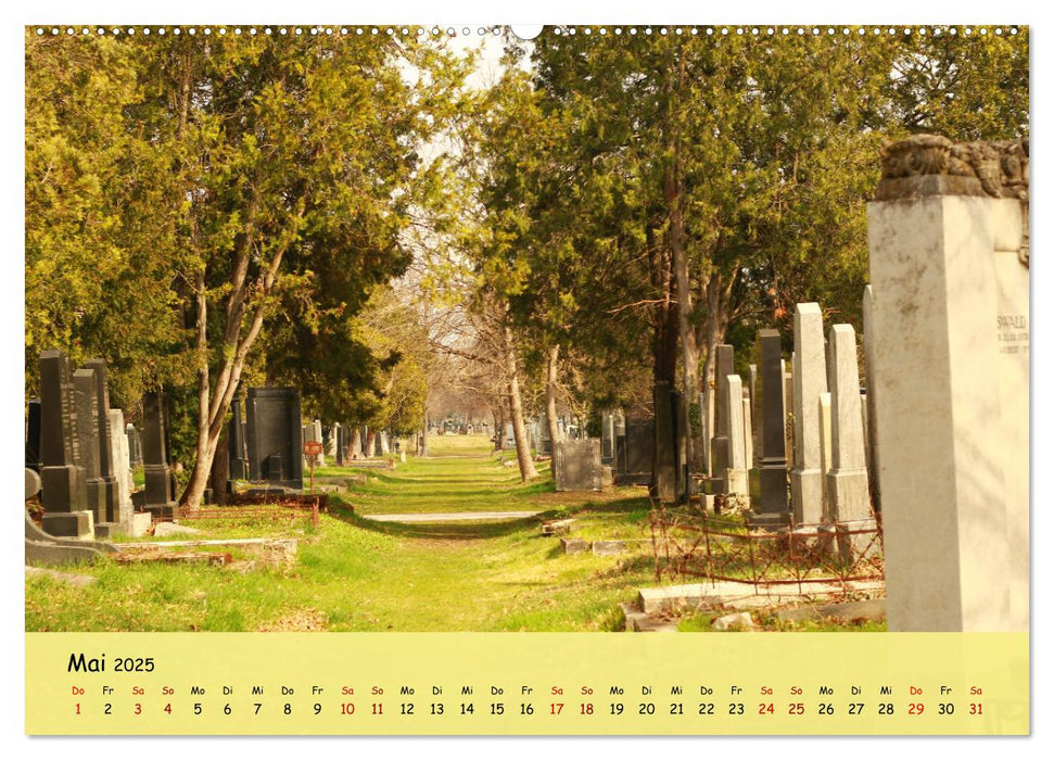 Am Zentralfriedhof in Wien (CALVENDO Wandkalender 2025)