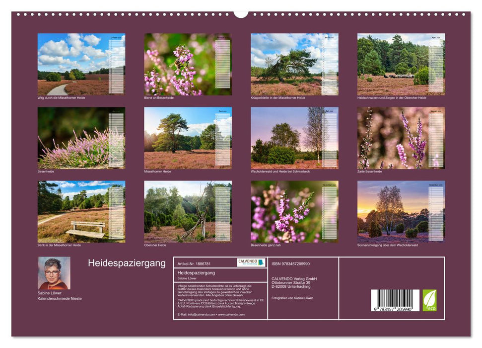 Heidespaziergang (CALVENDO Premium Wandkalender 2025)