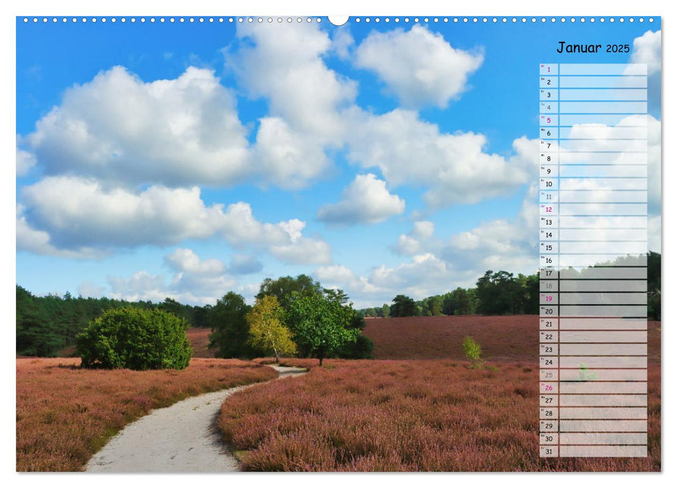 Heidespaziergang (CALVENDO Premium Wandkalender 2025)