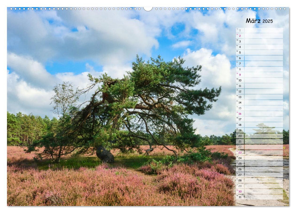 Heidespaziergang (CALVENDO Premium Wandkalender 2025)