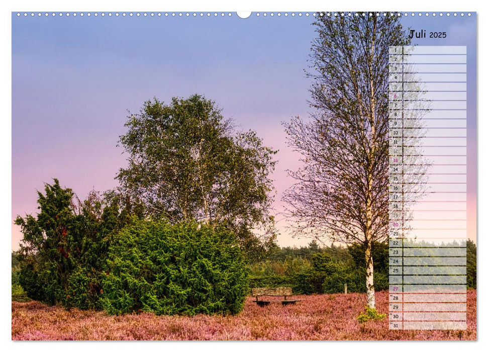 Heidespaziergang (CALVENDO Premium Wandkalender 2025)