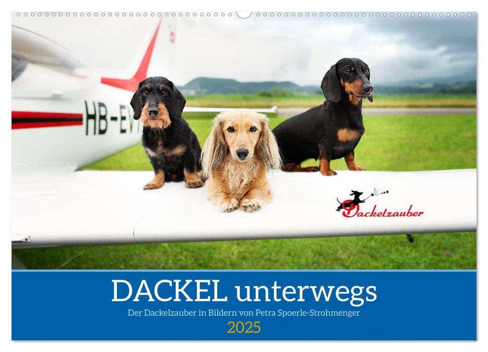 Dackel unterwegs (CALVENDO Wandkalender 2025)