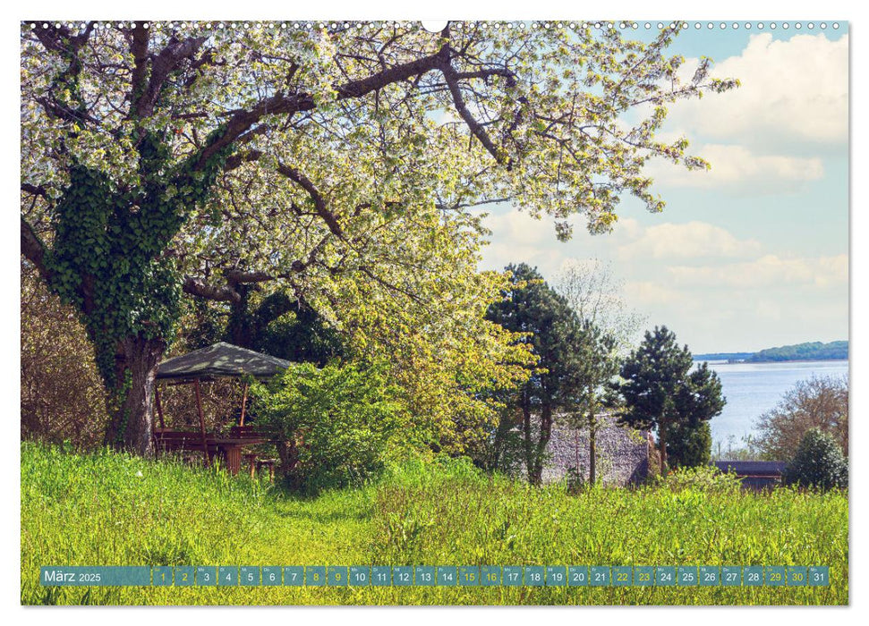 Buschvitz - Geografischer Mittelpunkt der Insel Rügen (CALVENDO Premium Wandkalender 2025)