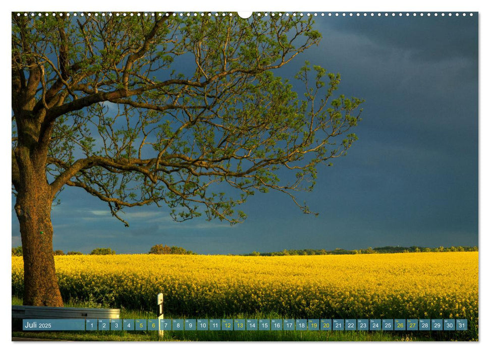 Buschvitz - Geografischer Mittelpunkt der Insel Rügen (CALVENDO Premium Wandkalender 2025)