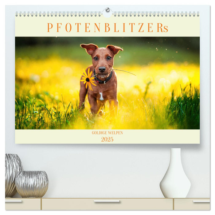 Pfotenblitzers Goldige Welpen (CALVENDO Premium Wandkalender 2025)