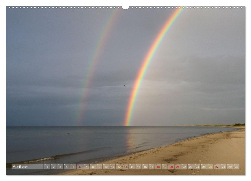 Naturschätze im Regenmoor - Die Sundische Wiese an der Ostseeküste (CALVENDO Wandkalender 2025)