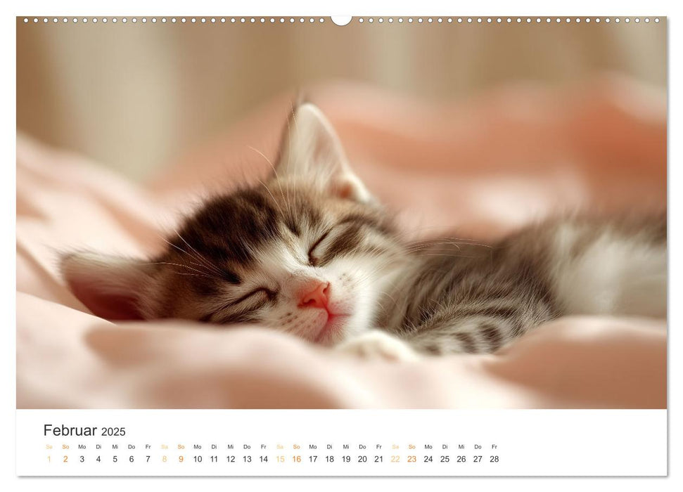 Zauberhafte Katzenbabys (CALVENDO Wandkalender 2025)