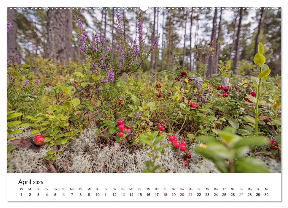 Schweden - Die Highlights von Småland bis zur Westküste (CALVENDO Wandkalender 2025)