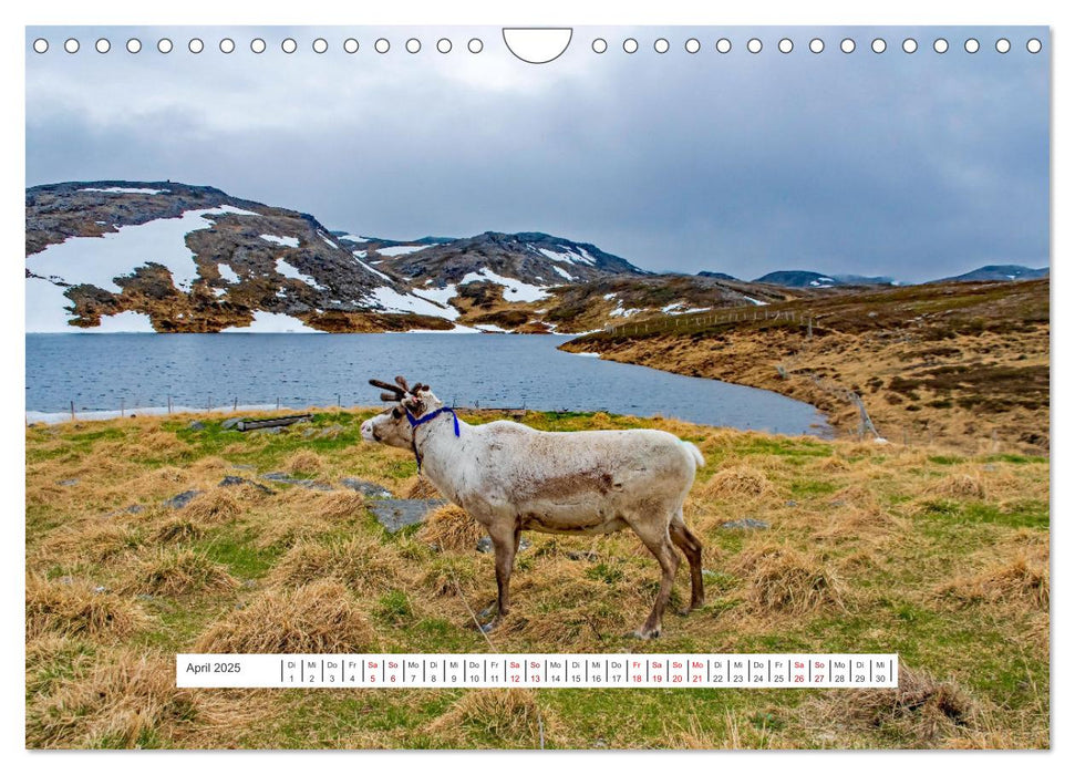 Norwegen - ein traumhaftes Reiseziel (CALVENDO Wandkalender 2025)