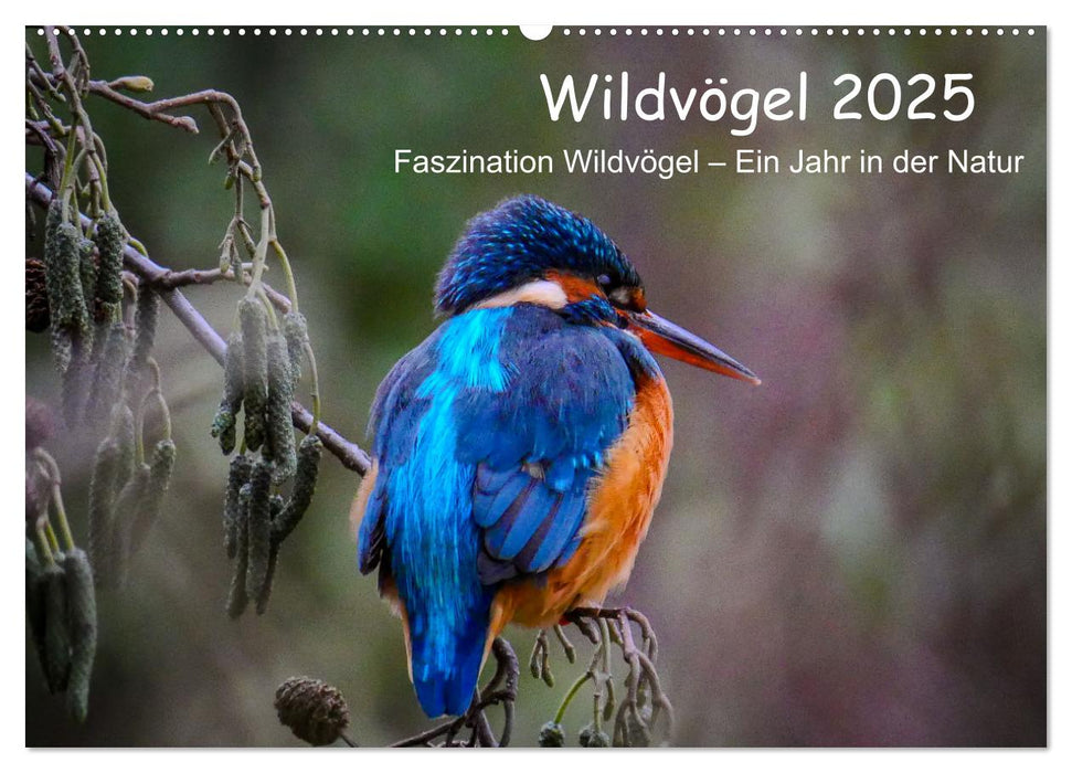 Wildvögel 2025 (CALVENDO Wandkalender 2025)