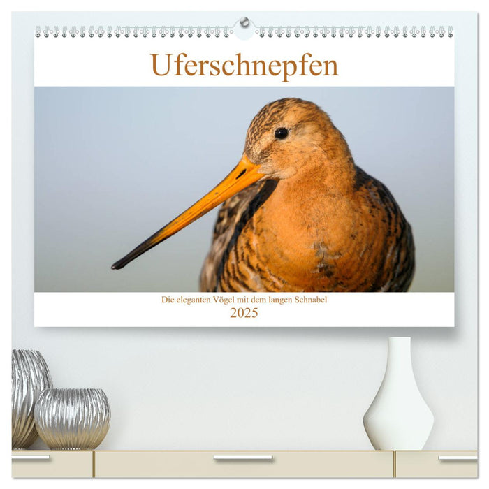 Uferschnepfen - Die eleganten Vögel mit dem langen Schnabel (CALVENDO Premium Wandkalender 2025)