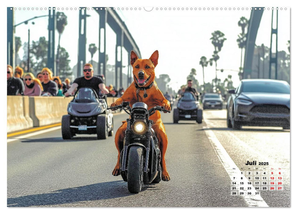 Süße Hunde cruisen - durch das Jahr mit dem Hundekalender (CALVENDO Premium Wandkalender 2025)