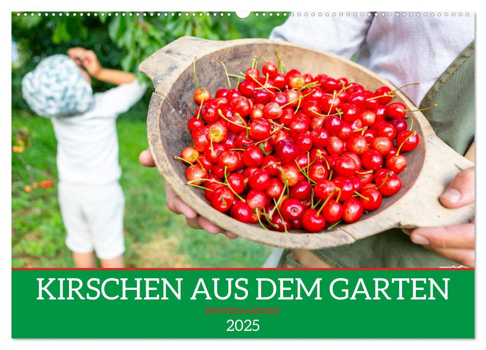 Kirschen aus dem Garten – Erntekalender (CALVENDO Wandkalender 2025)