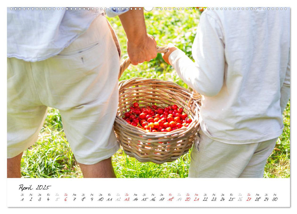 Kirschen aus dem Garten – Erntekalender (CALVENDO Premium Wandkalender 2025)