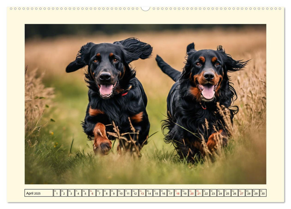 Treue Jagdbegleiter (CALVENDO Premium Wandkalender 2025)