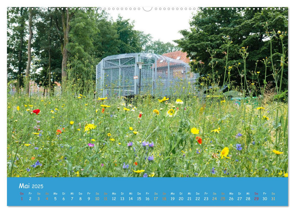 Bedburger Begegnungspark (CALVENDO Wandkalender 2025)