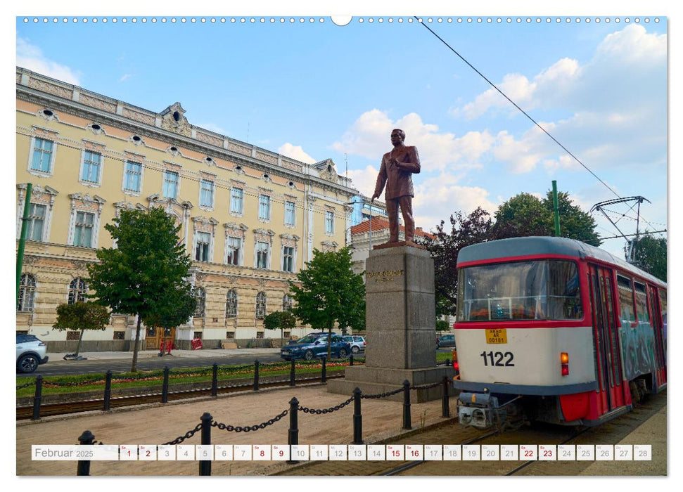 Streifzüge durch Arad (CALVENDO Wandkalender 2025)