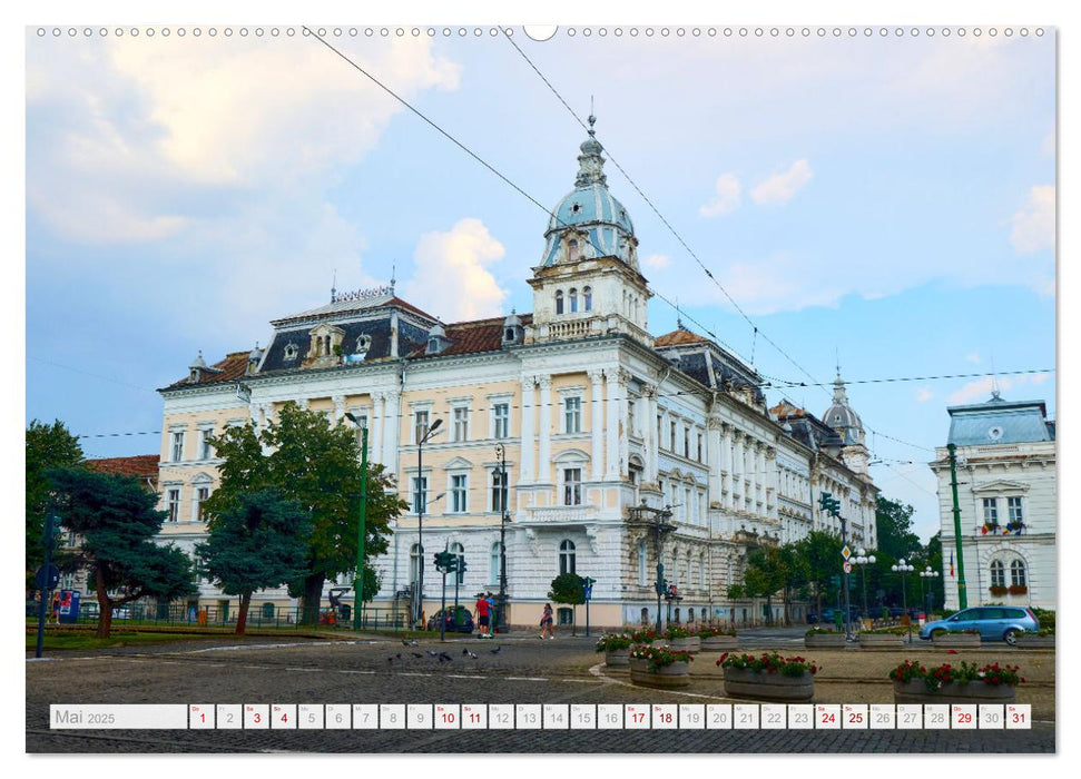 Streifzüge durch Arad (CALVENDO Wandkalender 2025)