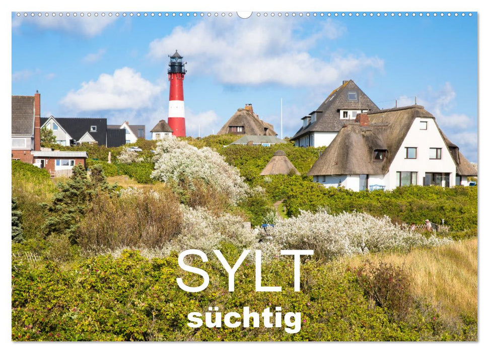 Sylt süchtig (CALVENDO Wandkalender 2025)