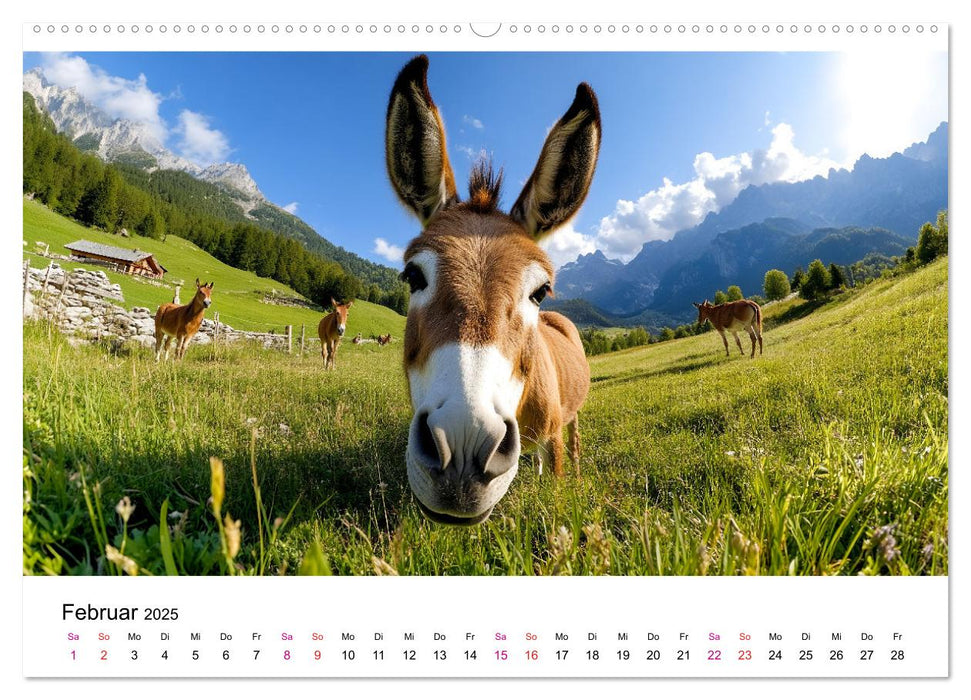 Esel - neugierige Typen (CALVENDO Premium Wandkalender 2025)