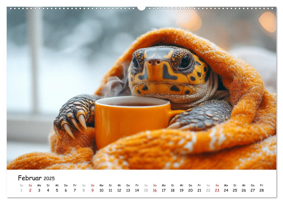 CHILL MAL - Entspannte Schildkröten beim Faulenzen (CALVENDO Wandkalender 2025)