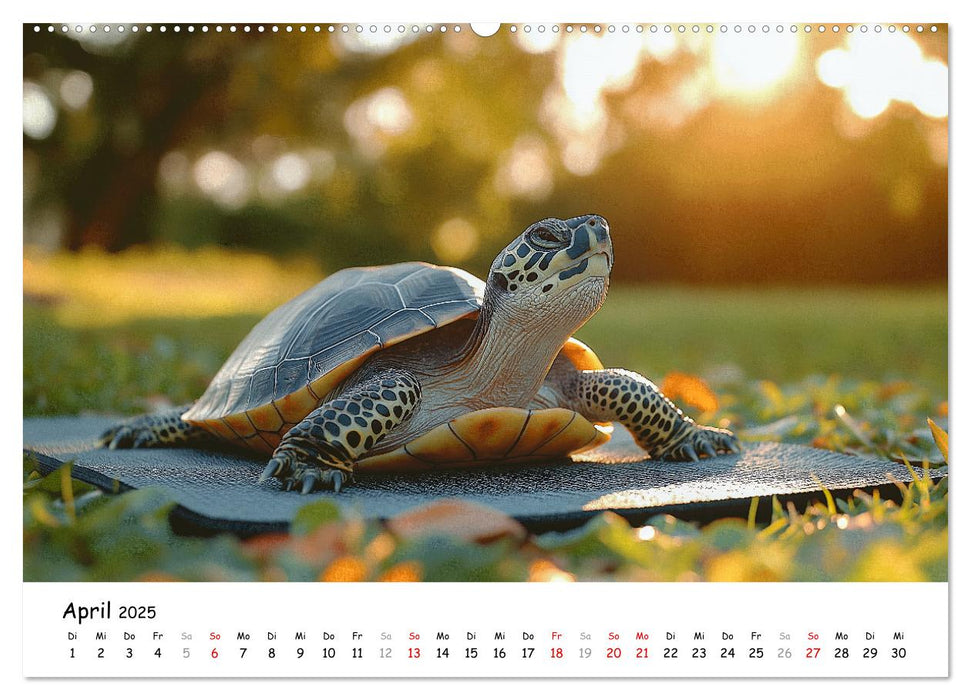 CHILL MAL - Entspannte Schildkröten beim Faulenzen (CALVENDO Wandkalender 2025)