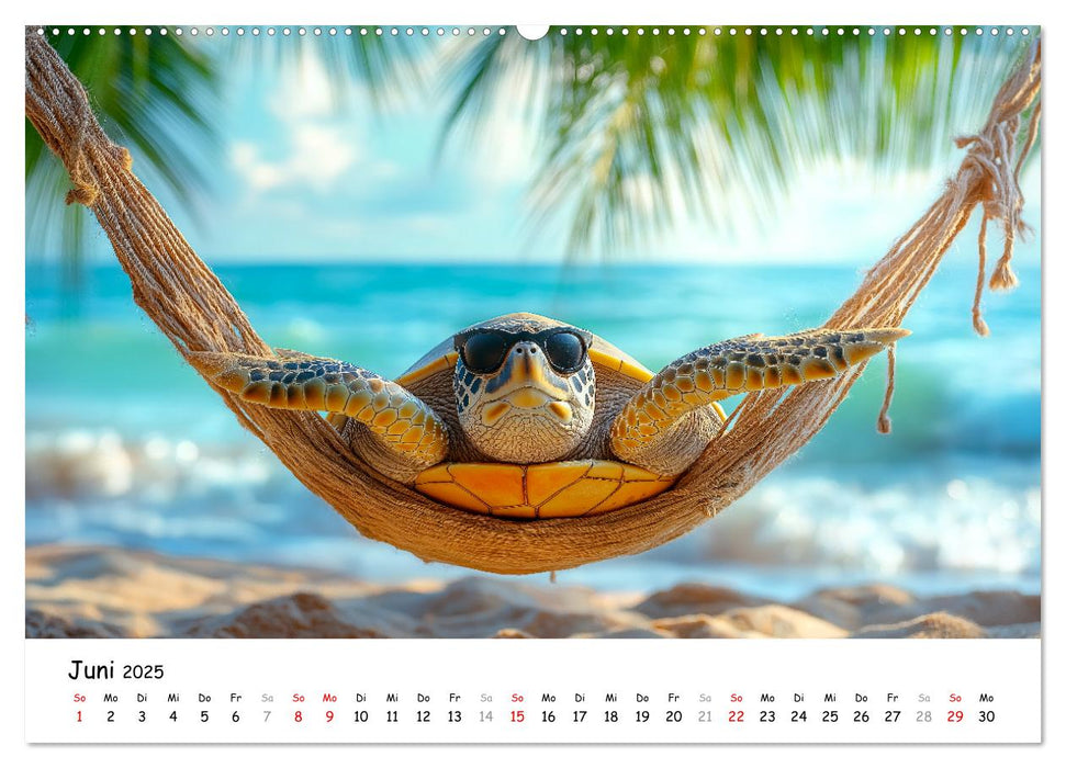 CHILL MAL - Entspannte Schildkröten beim Faulenzen (CALVENDO Wandkalender 2025)