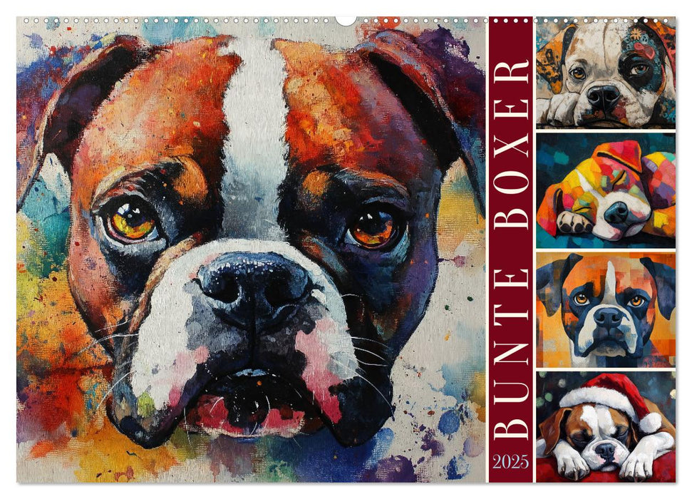 Bunte Boxer (CALVENDO Wandkalender 2025)