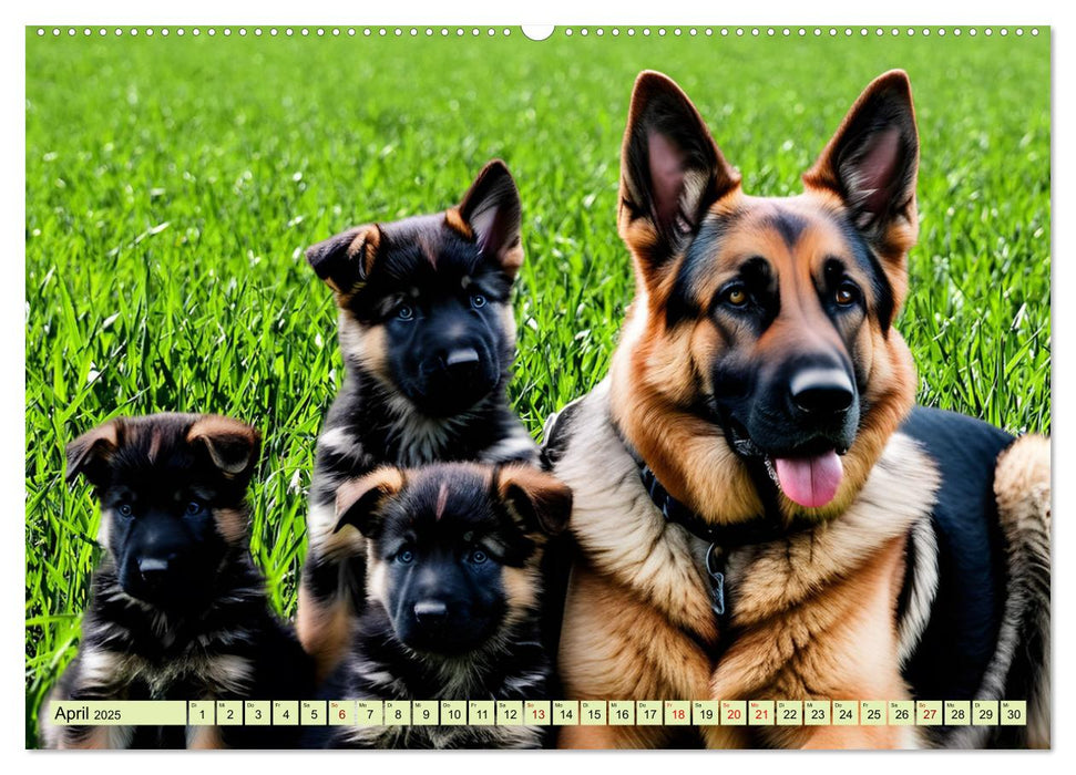 Deutscher Schäferhund - Inbegriff der Treue (CALVENDO Premium Wandkalender 2025)