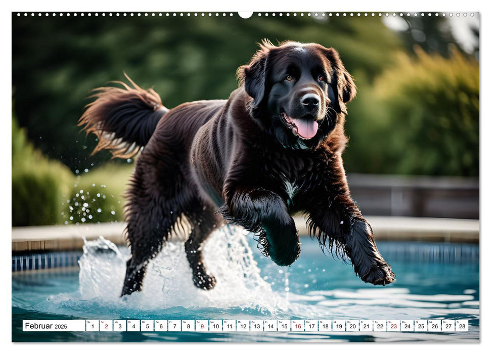 Begeisterte Wasserratten (CALVENDO Premium Wandkalender 2025)